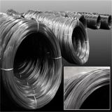 Spring Steel Wire for Protecting Mesh Steel Wire