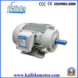IEC Standard High Efficiency Three-Phase Motor