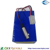 Electric Wheelchair Lithium Battery Pack 24V 20ah