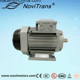 AC Revolutionary Permanent-Magnet Motor 550W with Certified Ce/UL
