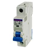 Maxwel 240/415V Mini Circuit Breaker
