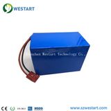 Westart Ncm Lithium Ion Battery Pack Electric Vehicle 48V30ah