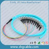 12 Core St/Upc-50/125um Om3 mm Bunch Fiber Optical Pigtail