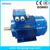 Ye3 0.25kw Three-Phase Cast Iron Induction Electric Motor