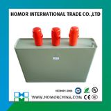 Bsmj Series Low Voltage Shunt Power Capacitor 2.5kvar 440V
