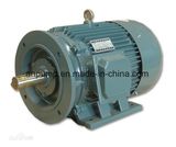 3 Phase Asynchronous Squirrel Cage Electric Engine Motor