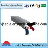 Electric Wire Copper Conduct Wire PVC Insulation Ground Wire 600V---Tsj