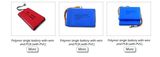 113450 3.7V 2000mAh Prismatic Lipolymer Battery for POS Machine