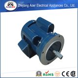 Sophisticated Technology RoHS Certified Reliable Reputation Motor AC