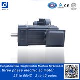 Ie3 300kw 660V 60Hz 3 Phase AC Electric Induction Motor