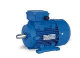 Three Phase Aluminium Housing Motor (MS)