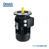 Ms Three Phase Asynchronous Induction Motor
