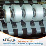PE Ion Exchange Memberane Seperator for Lithium Battery (LIB)
