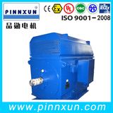 Three Phase High Voltage Cutting Machine Motor