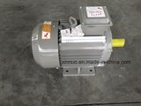 Ie2 Y2 Three-Phase Induction Motor