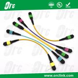 8f/12f/24f MPO-MPO Patchcord Jumper Optical Fiber Connector Sm mm 3 Meters
