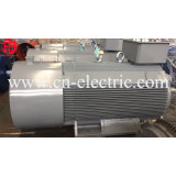 Y2 Cast Iron Asynchronous AC Electric Three Phase Motor