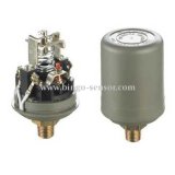 Brass or Ss Material Water Pump Pressure Switch