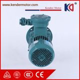 High Efficiency Induction Explosion Proof Motor
