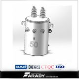 13200/7620V 50kVA Oil Immersed Electrical Transformer