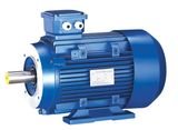 Y3 Series Aluminum Flanges High Torque Induction Motor