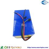 LiFePO4 Battery Pack 12V 10ah for Backup Power