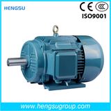 Y2 Cast Iron Three Phase AC Induction Electric Motor