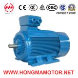 Hm Series Low-Voltage Large-Power Electric Motor with Frame Size: 400