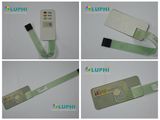 Embossed LED Windows LED Backlighting Silver Contacts Membrane Switch (MIC-0027)