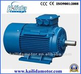 Y3 Series High Torque Induction Motor