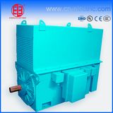 Ykk Series High Voltage Big Power Squirrel Cage AC Motor