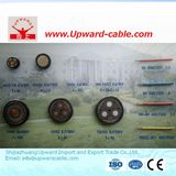 BV 450/750 2.5mm2 Elctrical Wire for House