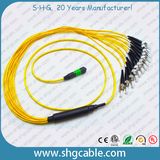 MPO-St Fiber Optic Patch Cord