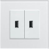 Ce/TUV/BV Cerified BS Double USB 1000mA Socket