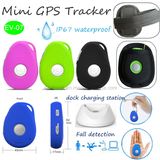 IP66 Waterproof Personal GPS Tracker with Fall Down Alarm (EV07)