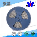 SMD 1ws Surface Mount Power Resistor