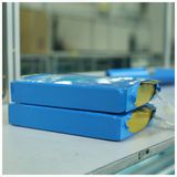 Power Lithium Battery 30 40 50 60ah LiFePO4 70 80 90 100 200ah LiFePO4 for EV & Solar Energy Storage