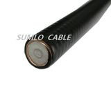 RF Cable 1/2