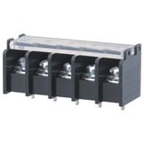 Wanjie PCB Barrier Terminal Block (WJ46GG-11.1mm)
