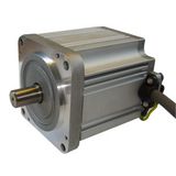 310V DC Brushless Motor for Medical Industry