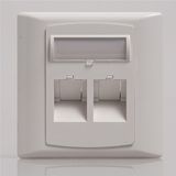 2 Ports RJ45 Face Plate