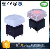 LED Momentary Push Button Switches with LED Light