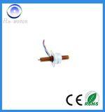 20mm Permanent Magnet Stepper Motor