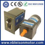 6W 110V 220V Low Rpm AC Induction Gear Motor with Speed Controller