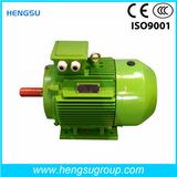 Ye3 160kw-8p Three-Phase AC Asynchronous Squirrel-Cage Induction Electric Motor for Water Pump, Air Compressor