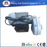 AC Single Phase Asynchronous Gear Motor 230V