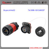Wire Harness Connector/Wires and Cables Connectors/Electric Receptacle for Motor