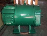 Low Constant Speed 500 Watt Electric Induction Motor