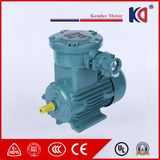 AC Anti-Explosion Electrical Motor From Supplier