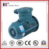 YB3 Series Single Phase Induction Explosion Proof Motor